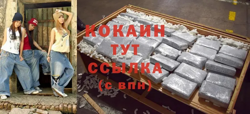 COCAIN FishScale  купить наркотики цена  Полярные Зори 