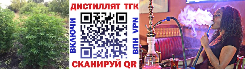сколько стоит  Полярные Зори  Дистиллят ТГК гашишное масло 