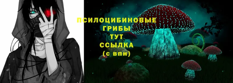 hydra вход  Полярные Зори  Галлюциногенные грибы Magic Shrooms 