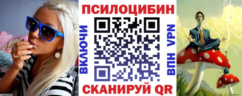 мориарти клад  Полярные Зори  Галлюциногенные грибы Cubensis 
