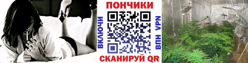 MEGA маркетплейс  сколько стоит  Полярные Зори  Конопля OG Kush 
